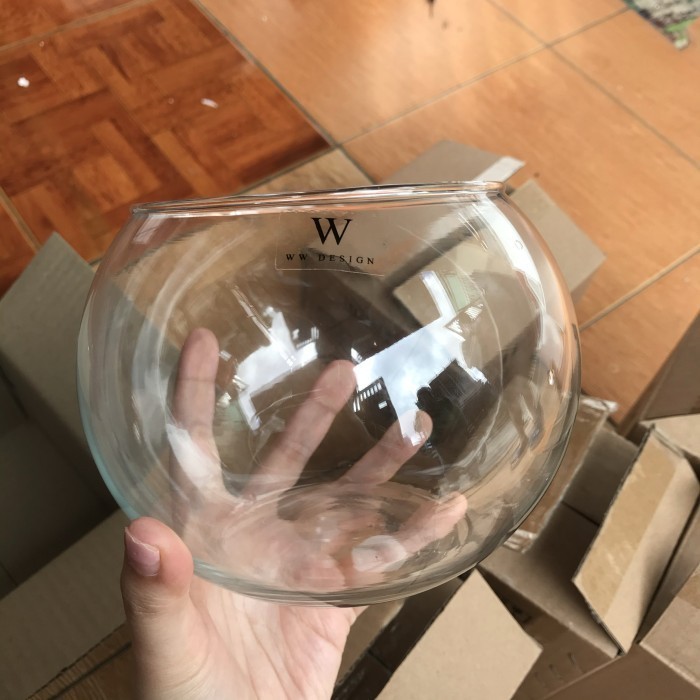 vas bunga bulat kaca bening 2 liter pot bunga kaca bulat lucu cylinder