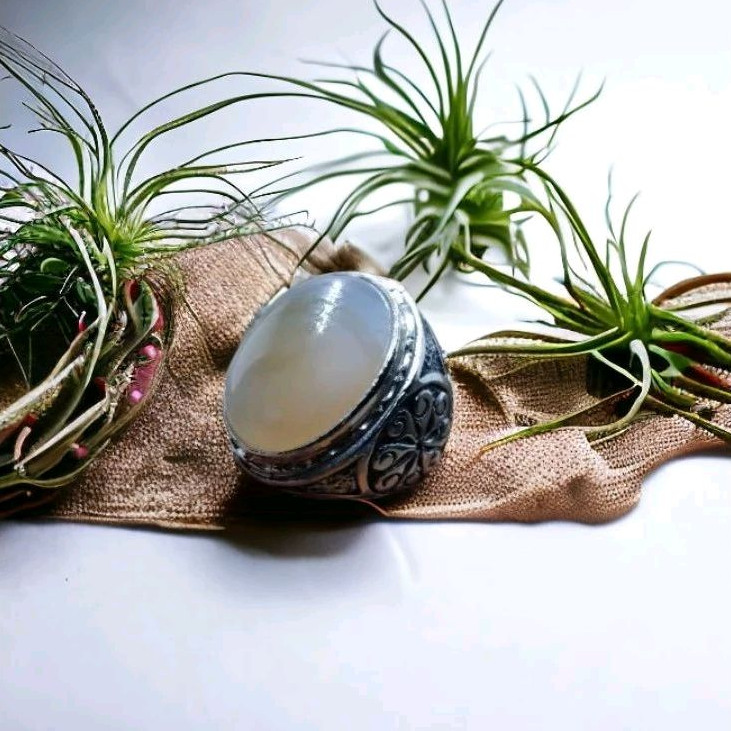 RZ Jewelry-Cincin Batu Akik Anggur Cimpago