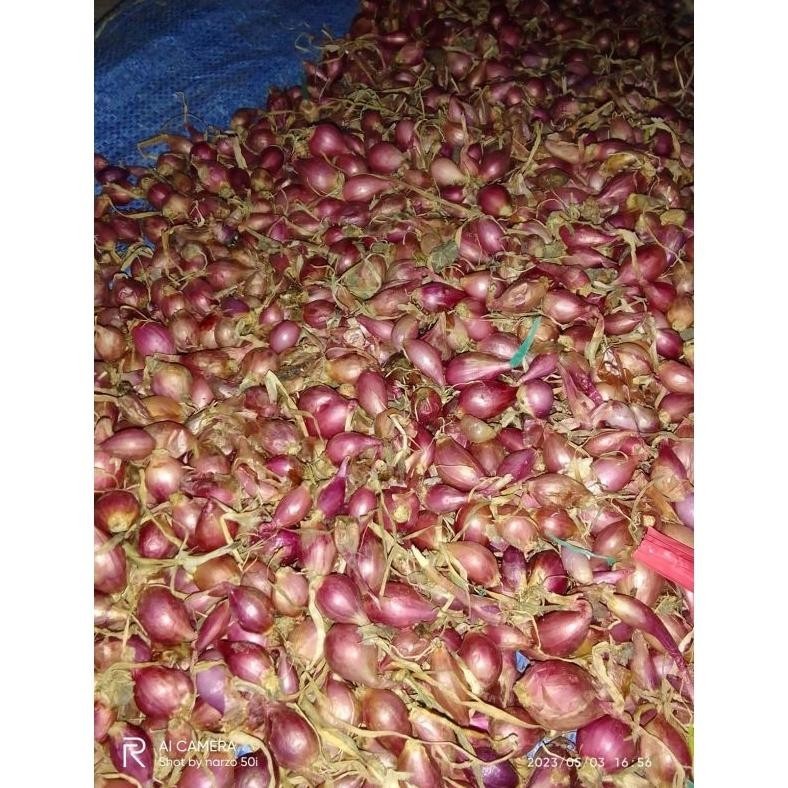 

1Kg Bawang Merah Brebes
