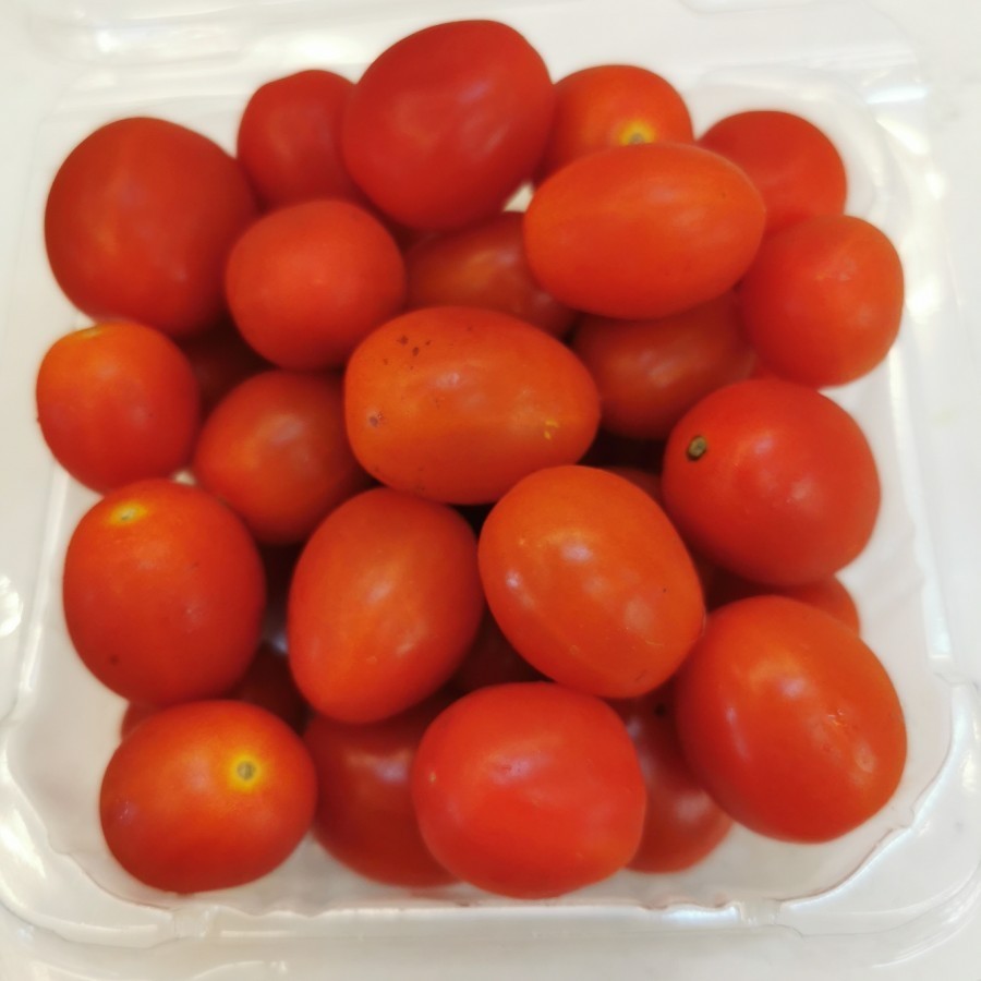 buah sayur tomat ceri red cherry tomato berastagi premium fresharvest