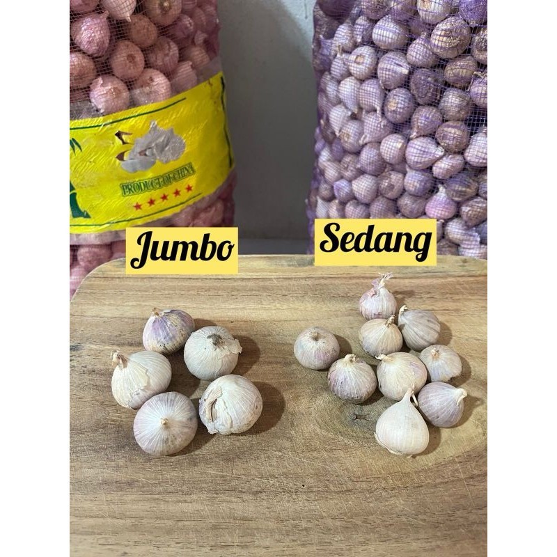 

Bawang Putih Tunggal 1 Kg Ukuran Sedang dan Jumbo Fresh