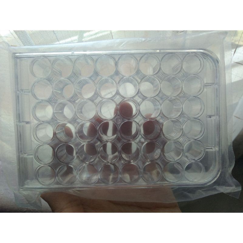 well plate 6 12 24 48 96 microplate non TC steril sumuran flat kultur non treated