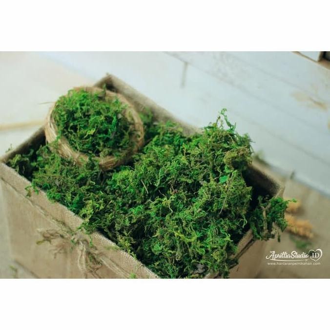 lumut HIJAU PREMIUM artificial 1 kg lumut kering rumput halus sintetis
