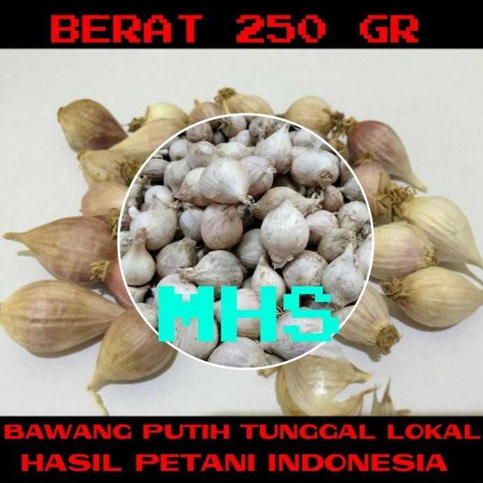 

Bawang Putih Tunggal Bawang Lanang Lokal 250 gr