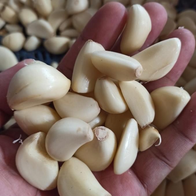 

Bawang Putih Kupas 1 kg