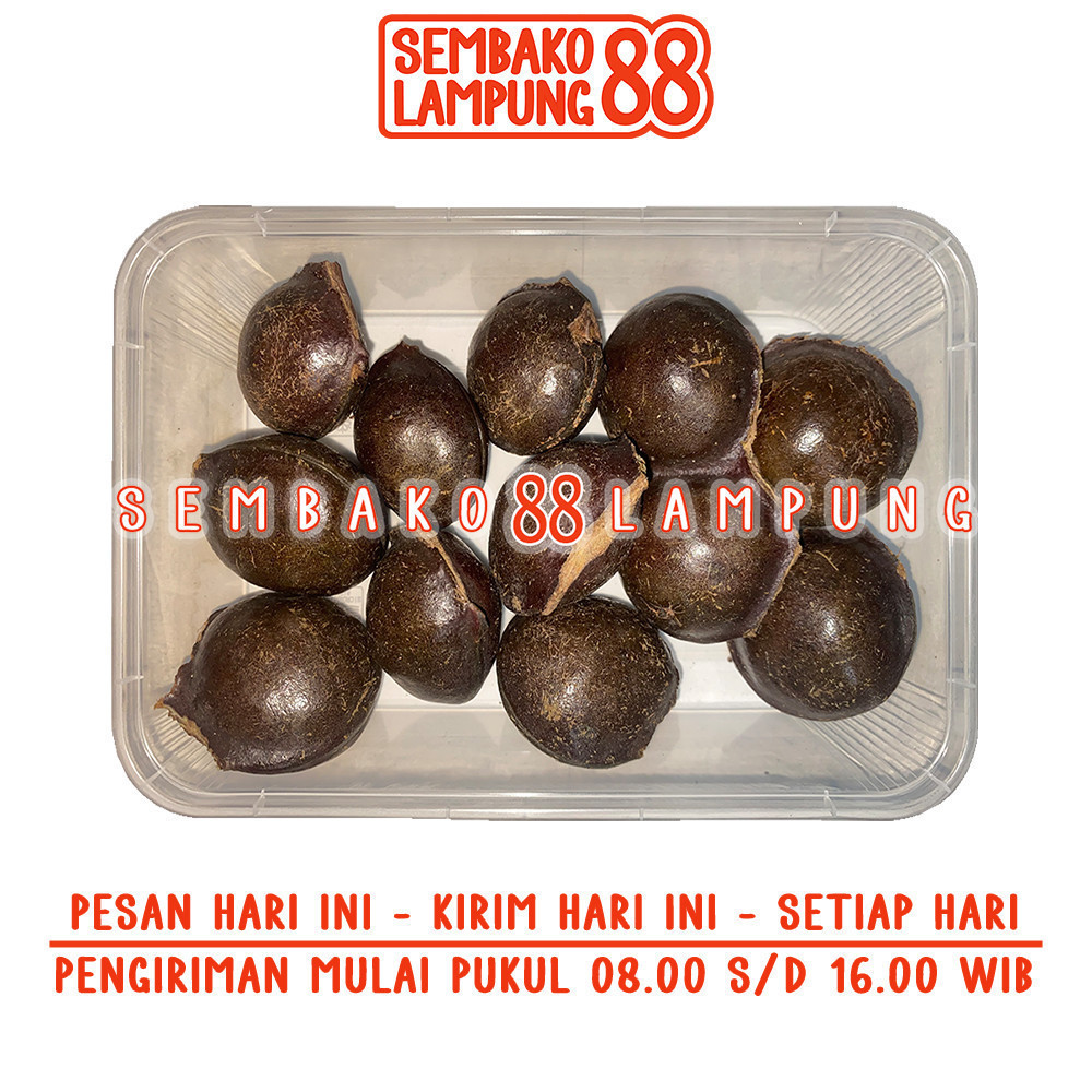 

Jengkol Kulit 250 Gr | Sembako Lampung 88