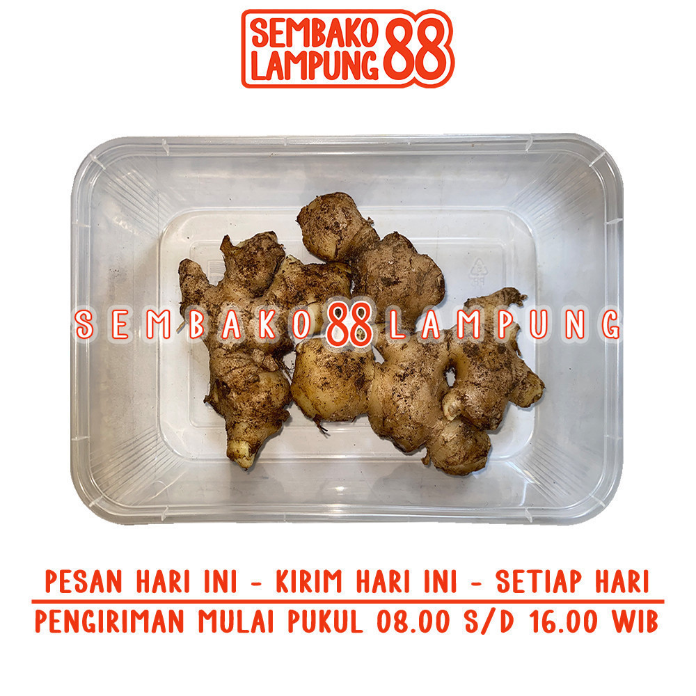 

Jahe Segar 100 Gr | Sembako Lampung 88