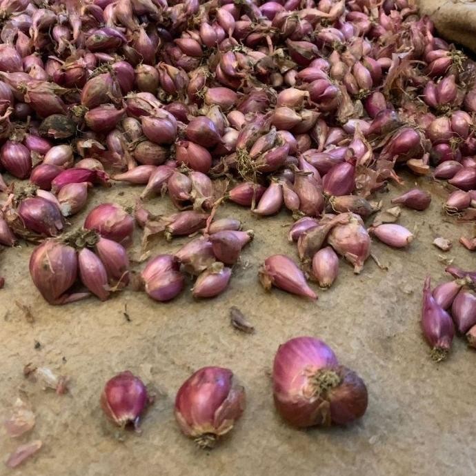 

TERLARIS Bawang Merah Berkualitas 1Kg Besar Sedang Kecil Super Kering - Shuffel MURAH