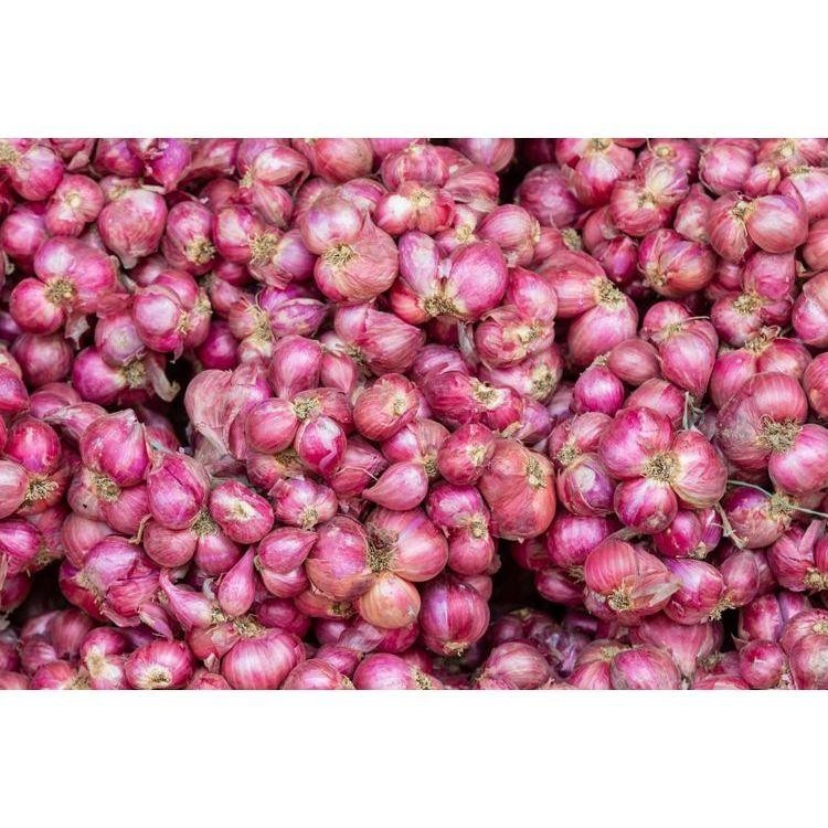 

Bawang Merah Besar 500 Gr Berkwalitas Super Sintacrew