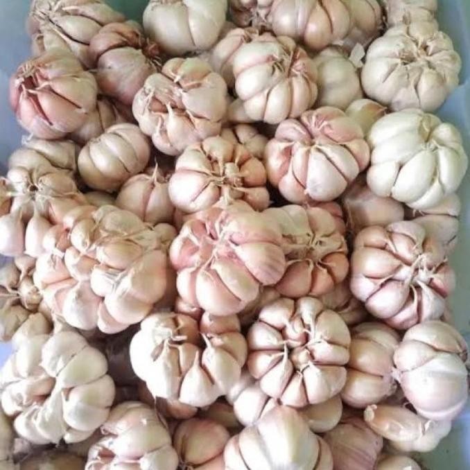 

TERLARIS Bawang Putih Sinco 1Kg Promo Murah Berkwalitas - Shuffel MURAH