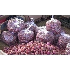 

Bawang Merah Besar 1 Kg Berkwalitas Super Pinky