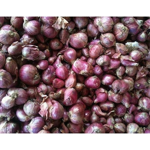 

TERMURAH Bawang Merah Kecil ( 1 Kg ) Asli Nganjuk - Shuffel BAGUS