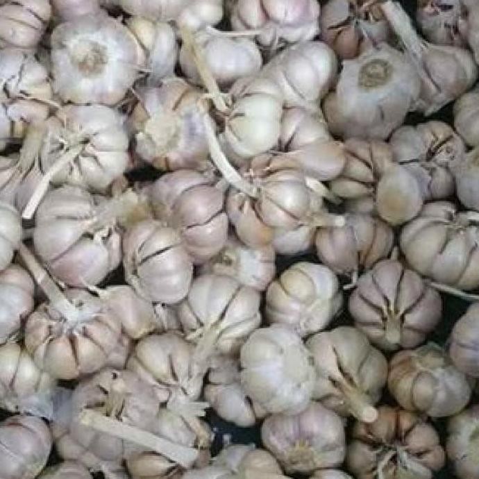

BERKUALITAS Bawang Putih Sico 1/2Kg Promo Murah Meriah - Shuffel MURAH