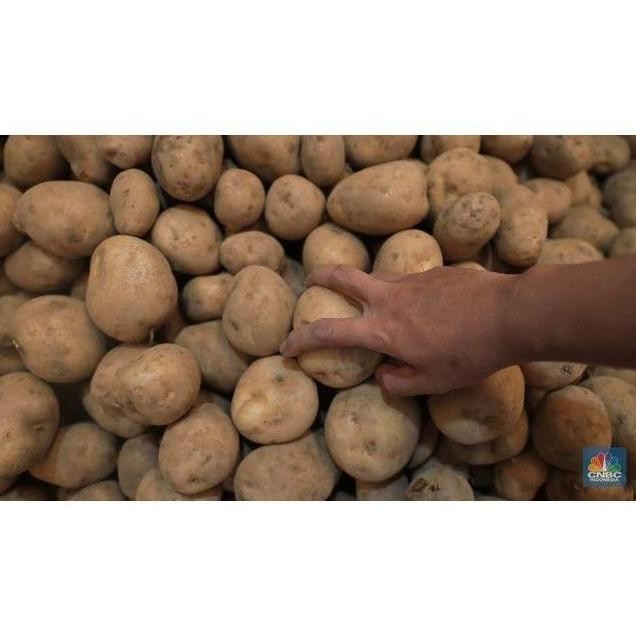 

BERKUALITAS Kentang Dieng Super Medium 25 Kg Fresh Dari Petani - Shuffel MURAH