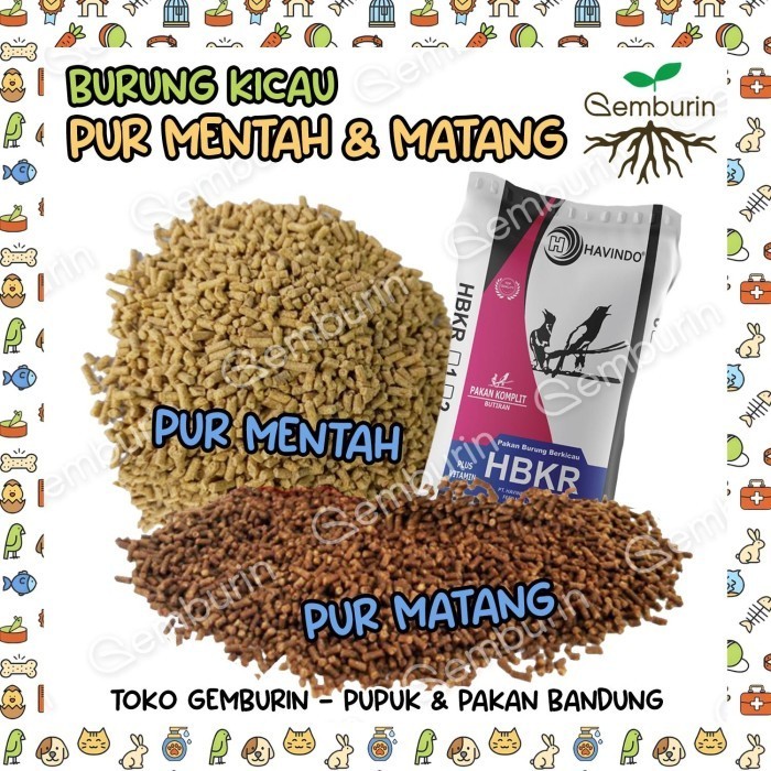 Pur Voer Mentah / Mateng Matang Pelet Burung Kicau Makanan Ocehan REPACK 1Kg Murai Higienis Vitamin 