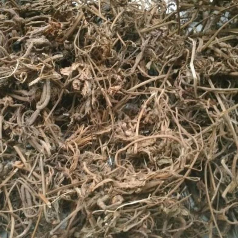 

SERBUK BUBUK AKAR PURWOCENG PURWACENG MURNI ISI 1 KG RO32