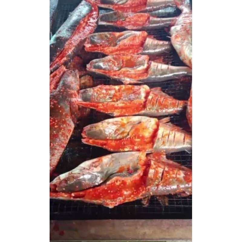 

Ikan Sagarurung