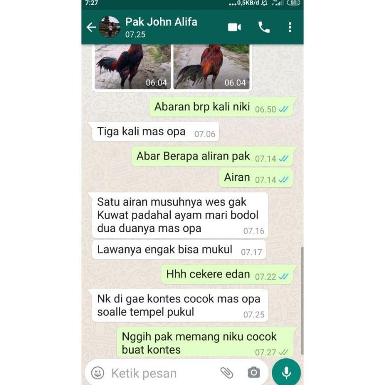 6.6 Jamu Pyongyang Hitam Vvip Doping Ayam Aduan Jamu Ayam Aduan