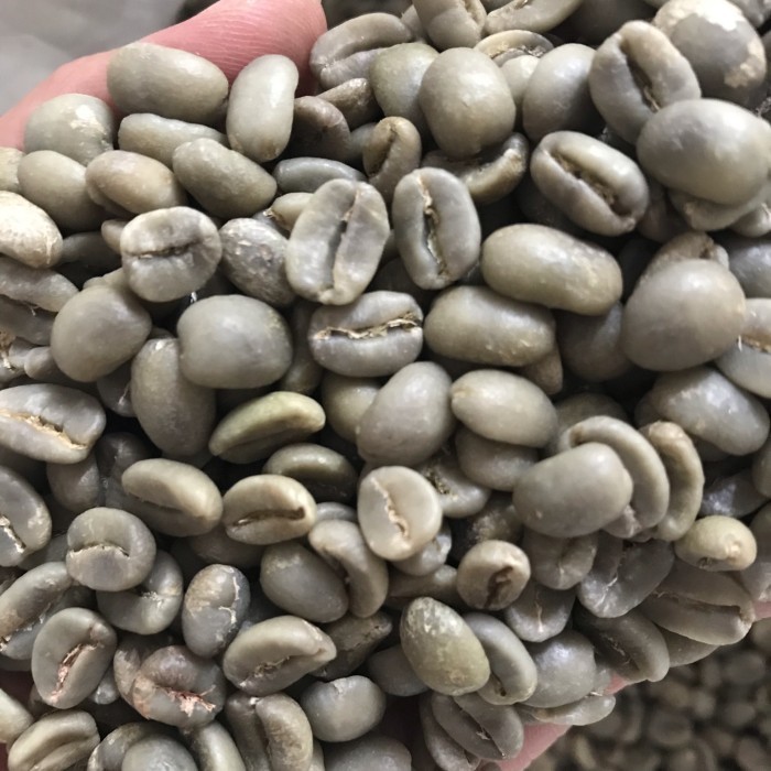 

Green Bean Arabika Gayo Luwak Liar