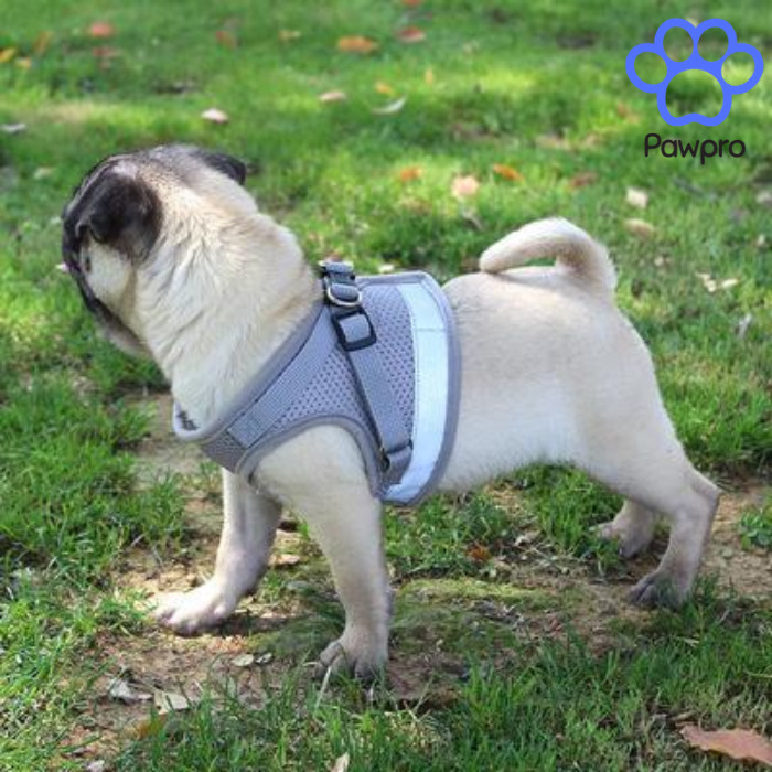Harness Anjing Rompi Harness Kucing Rompi Harness Anjing