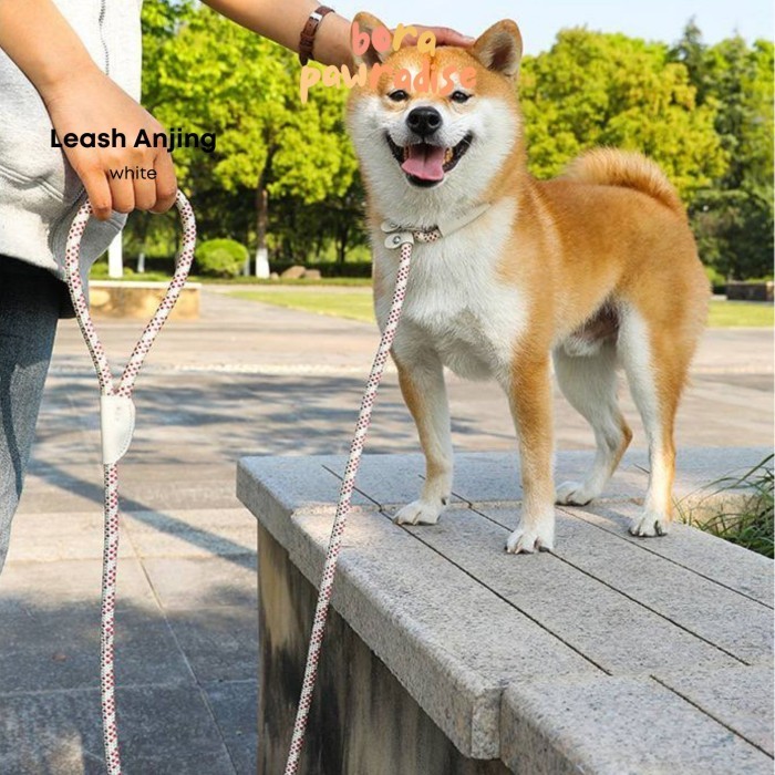 Dog Leash / Dog Slip Leash / Tali Tuntun Anjing