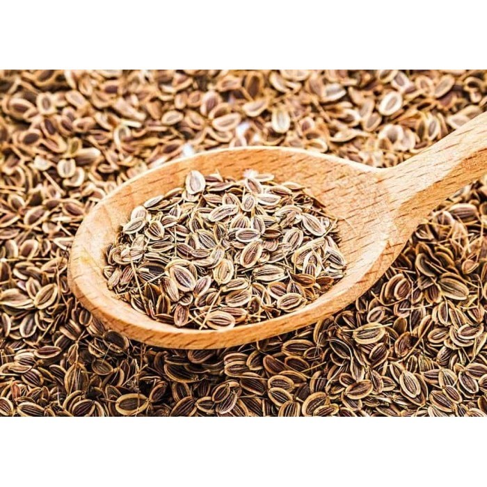 

Adlian Dill Seed 1 Kg (Organic)