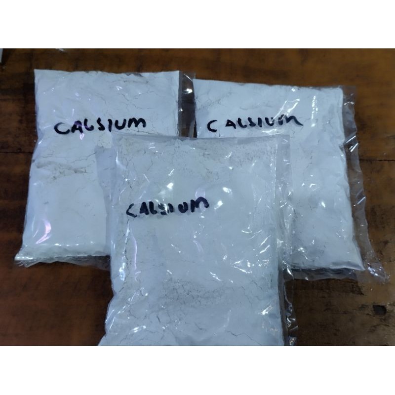 calsium untuk tulang hewan gecko