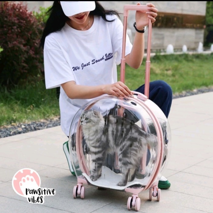 

Tas Kucing Troli Travel Berkualitas