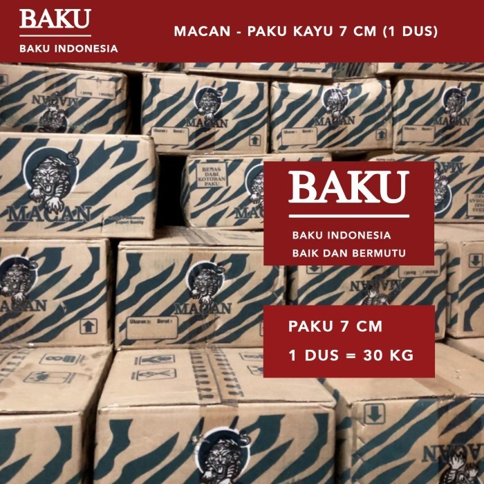 Paku Kayu 7Cm - 1 Dus (Paku Papan, Kaso, Balok, Paku Serbaguna)