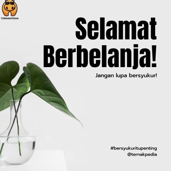 

VETWAYS LAC 1 KG - SUSU PENGGANTI INDUK KAMBING - SUSU PENGGANTI TERNA