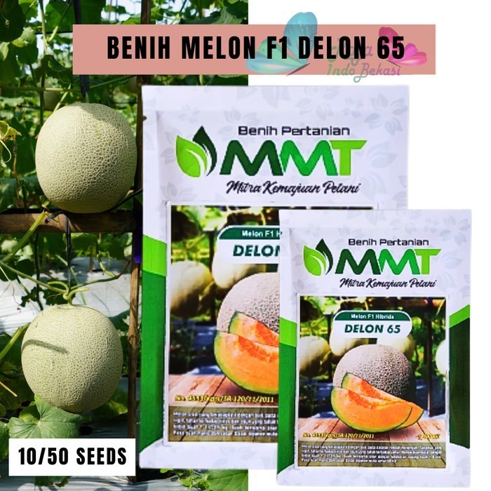 Biji Benih MELON F1 HIBRIDA DELON 65 MMT 400 Kemasan 10 50 Bibit Melon