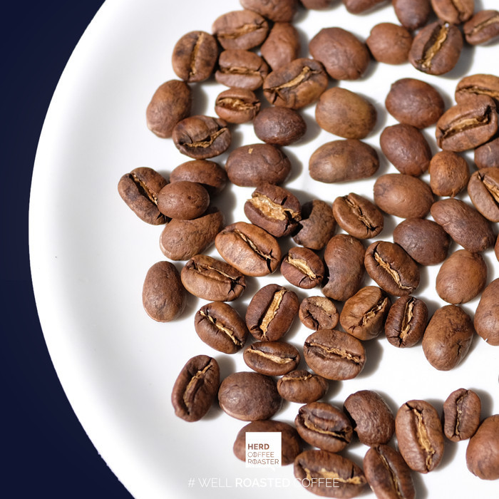 

Kopi Tolu Almond Single Origin Manual Brew 1 Kg Herd Coffee