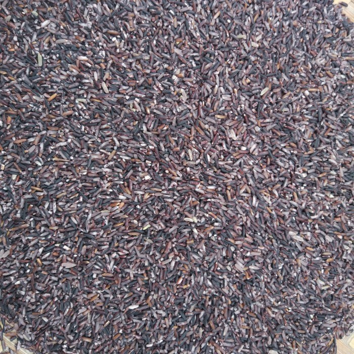 

Beras Hitam Sosoh Lumbung Pangan Kita I Enak Empuk dan Pulen I 2kg K01