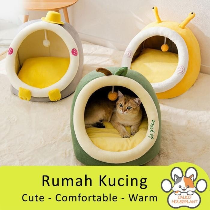 Rumah Kucing Lucu