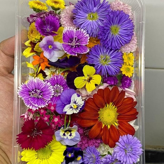 

Mix Edible Flowers Fresh 30 pcs