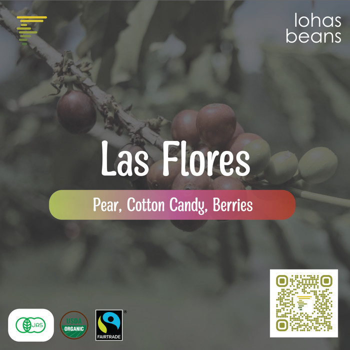 

Biji Kopi Arabica Colombia Las Flores Pink Bourbon Natural Anaerobic