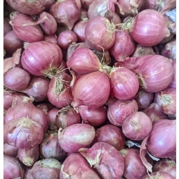 

BAWANG MERAH LOKAL KERING BAGUS 1KG Kualitas Terbaik