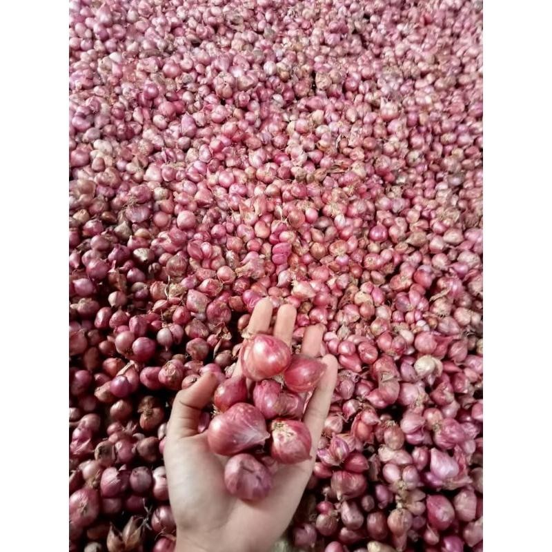

Bawang merah SUPER Brambang lokal bawang merah berkualitas Super Besar Berkualitas