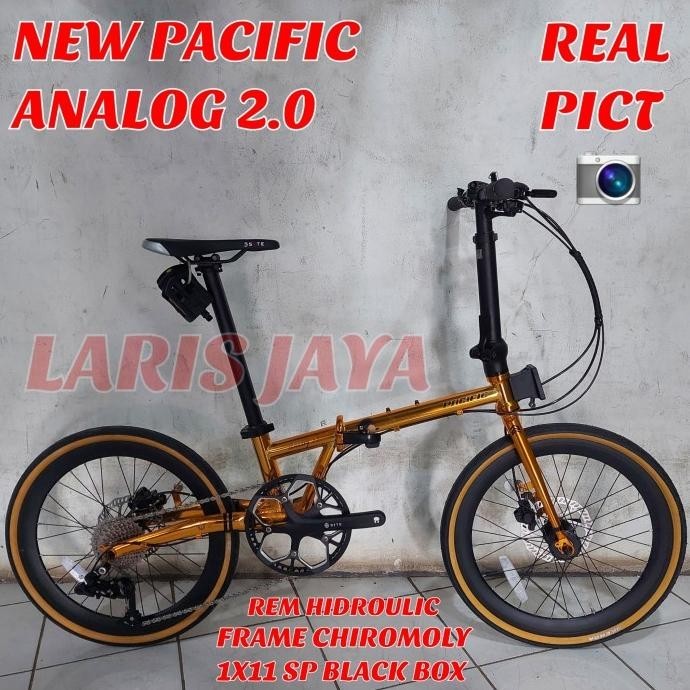 Tersedia Lipat Pacific Analog 2.2 Gold Sepeda Lipat Pacific Analog 22 11 Speed