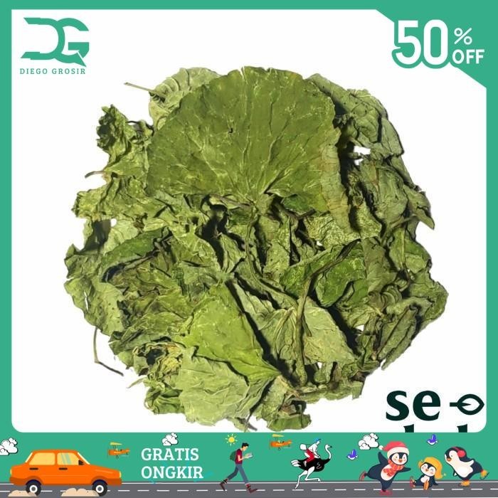 

DAUN PEGAGAN KERING / DRIED GOTU KOLA / CENTELLA ASIATICA TERBAIK
