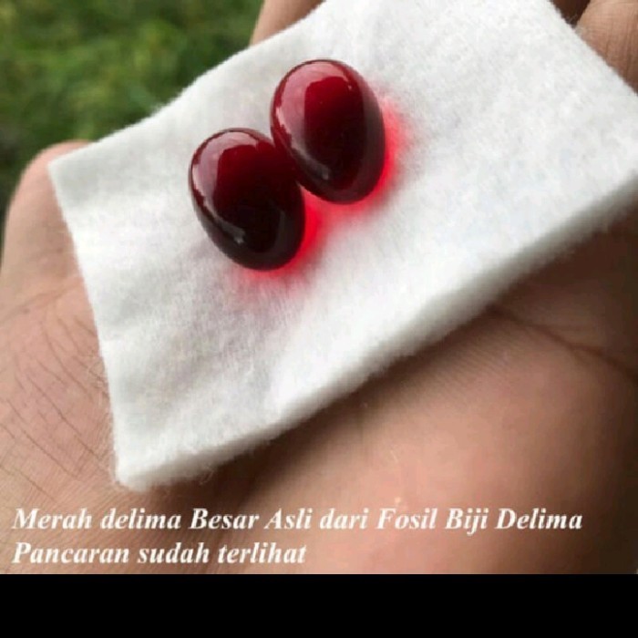 Ready FOSIL BIJI DELIMA MERAH DELIMA