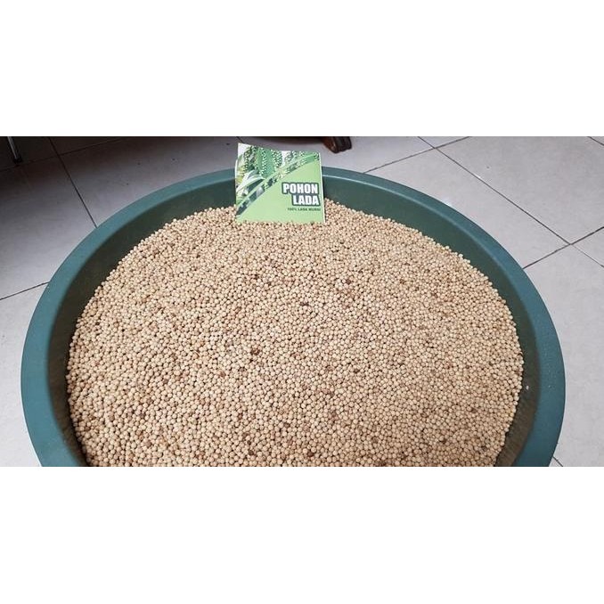 

Lada Putih Bangka Premium Bangka 500 gram Butiran BS81