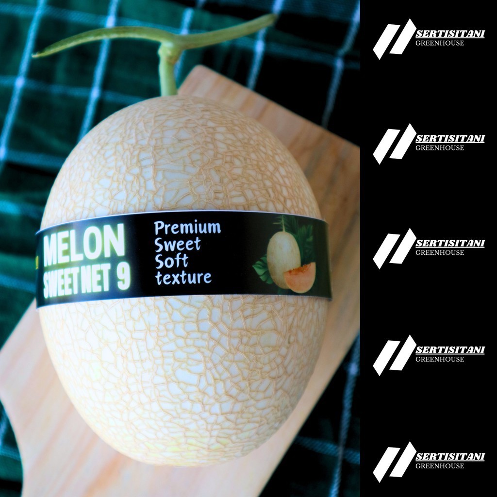 Buah Melon Premium SWEET NET