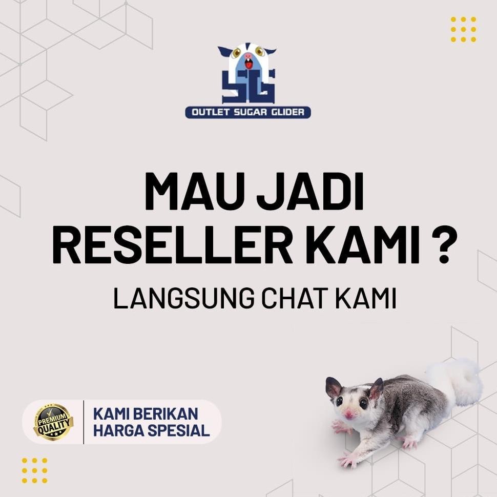 Termurah Travel Pouch Model Kubus Untuk Hewan Sugar Glider, Tupai Terbang Cuci Gudang