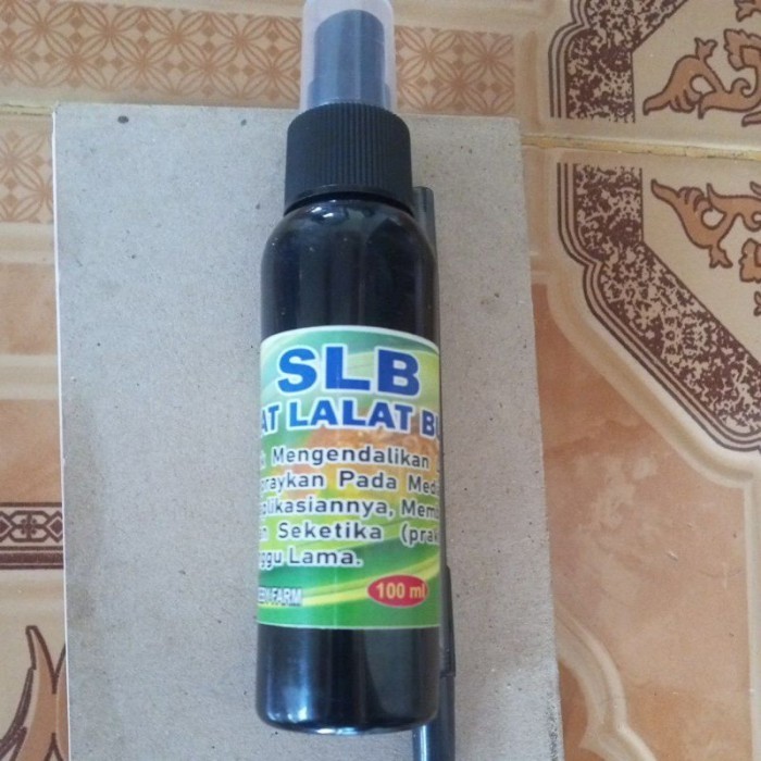 Terbaru Termurah Sikat Lalat Buah(Slb) Promo Terlaris