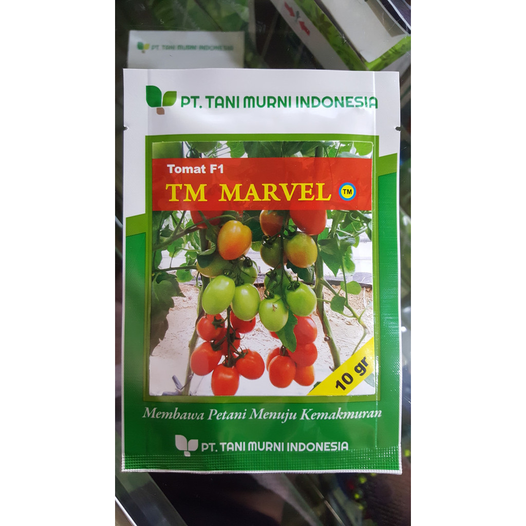 Benih Tomat Bibit Tomat Besar Hibrida Tm Marvel 10Gr (3.500Biji)