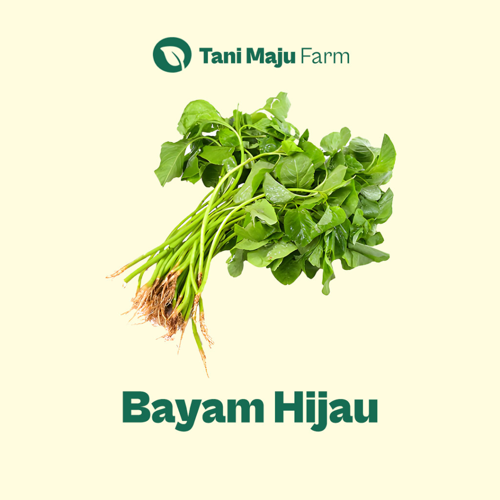 

TANI MAJU - Bayam Hijau Bayem Spinach Fresh Organik (100 gram) - Sayuran