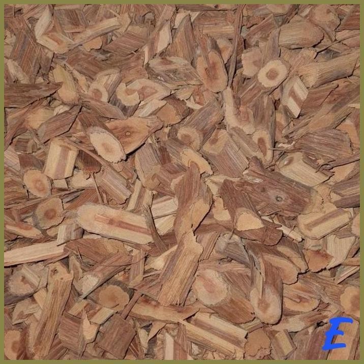 

| BLG | TEH BAJAKAH ASLI KALBAR AKAR BAJAKAH OBAT HERBAL KANKER ALAMI