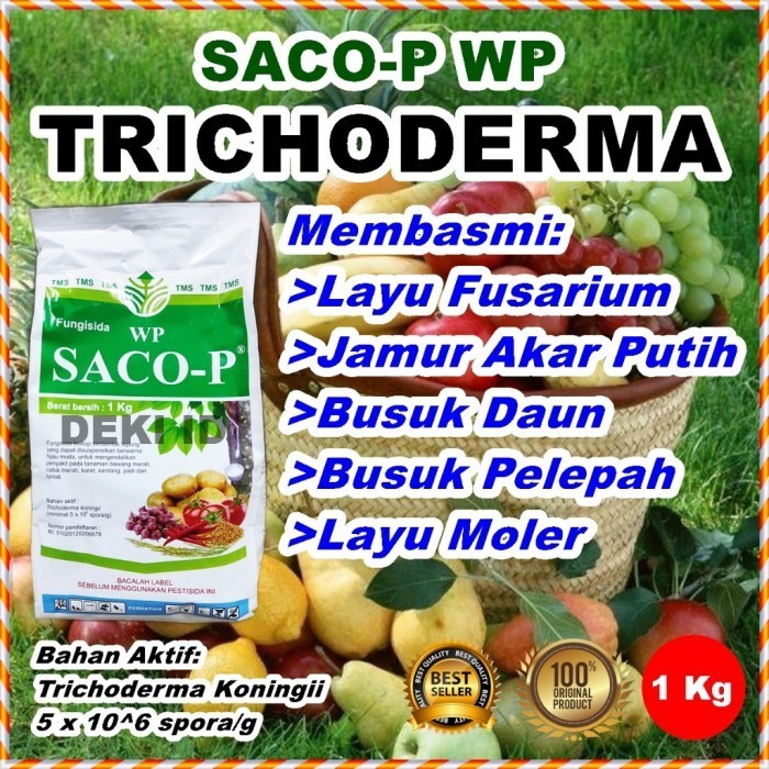 Tricoderma Koningii Saco P Wp 1 Kg Fungisida Organik Trichoderma