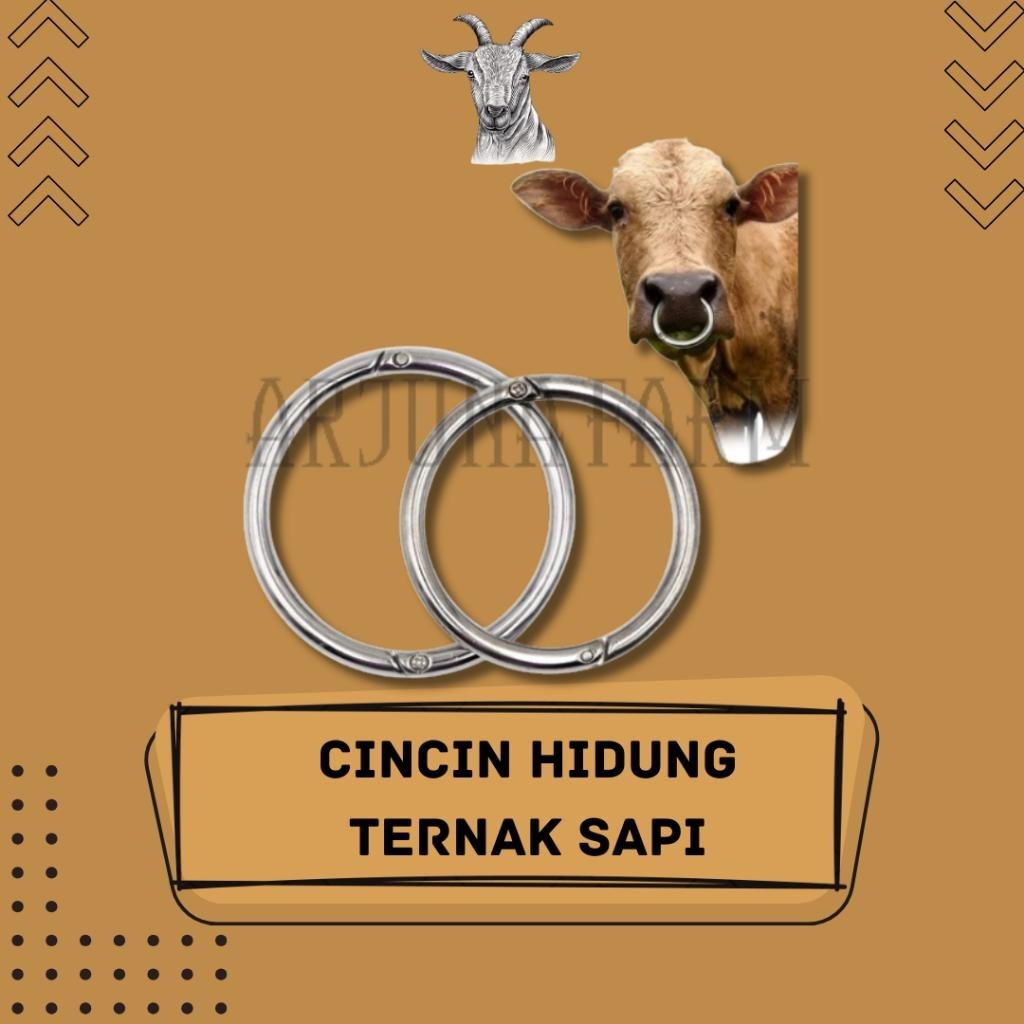 Bull Ring Sapi Cincin Tindik Sapi Cincin Ring Hidung Sapi Kerbau Lembu Stainless Steel Farm
